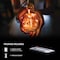 Feit Electric Feit LED Fairy String Lights Warm White 30 ft. 100 lights FY30-100/WW/CPR - alternate 6